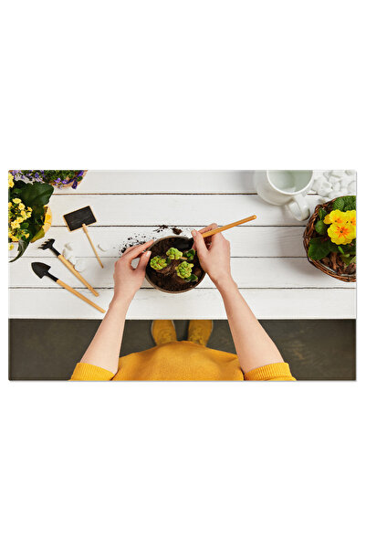 StoryGift Romania Tablou Canvas: Pregatiri De Gradinarit, Un Moment Creativ -...