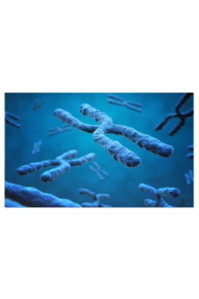 StoryGift Romania Canvas Painting 3d Illustration X Chromosomes, Genetics, Biotechnology, Laboratory 3
