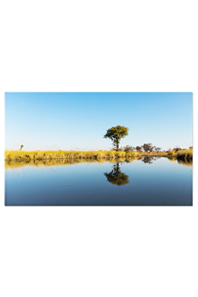 StoryGift Romania Tablou Canvas: Canale In Delta Okavango - Safari, Natura, Ape Linistite