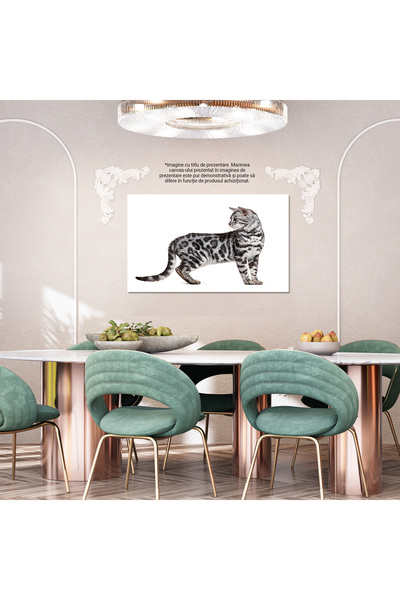 StoryGift Romania Tablou Canvas - Eleganta Felinelor - Pisica Domestica Cu Personalitate