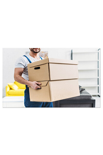 StoryGift Romania Tablou Canvas: Livrare In Apartament, Barbat Cu Cutii - Mutare, Curier, Colete