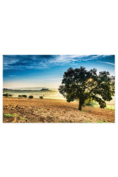 StoryGift Romania Tablou Canvas: Frumusetea Naturii - Peisaj De Tara, Copac D...