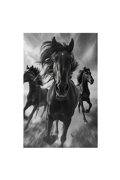 StoryGift Romania Tablou Canvas: Animal Cadru Alb-negru Cu Cai Care Aleargă- Fotografie Alb-negru Și Animale Săl