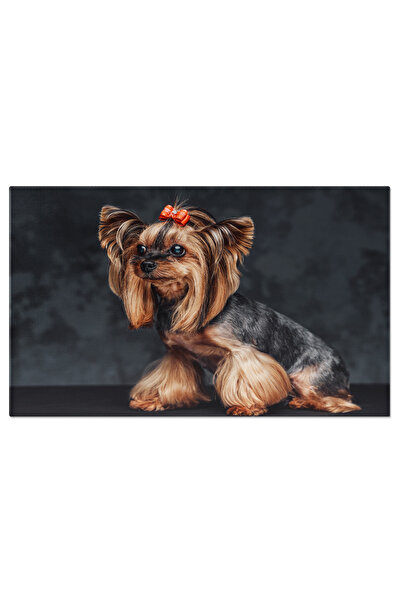 StoryGift Romania Tablou Canvas - Terrier Yorkshire Cu Coafura Eleganta: Cara...