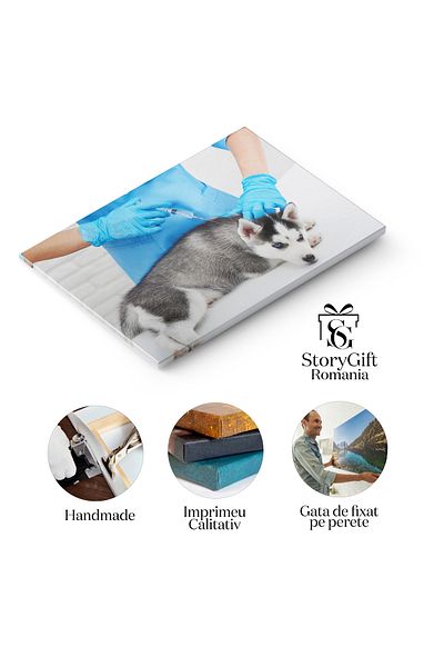 StoryGift Romania Tablou Canvas - Pui De Husky: Adorabil Si Pufos, Ochii Albastri Ai Animalului De Companie
