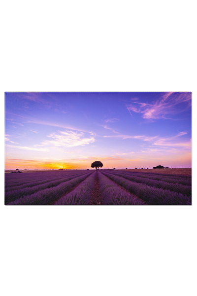 StoryGift Romania Tablou Canvas Apus Intr-un Camp De Lavanda In Vara, Lavanda...