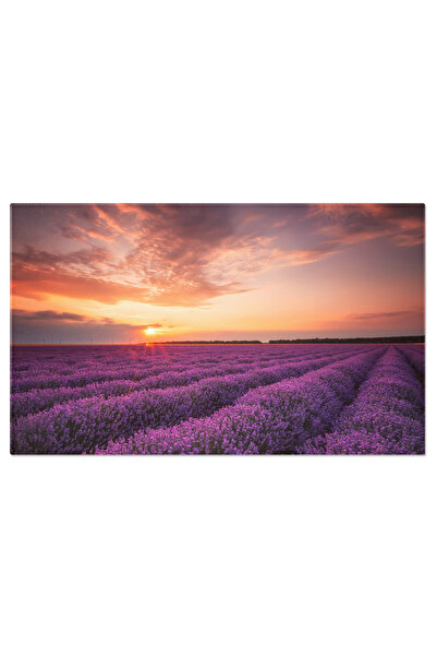 StoryGift Romania Tablou Canvas Lavanda La Rasarit Si Apus - Liniste Si Culori