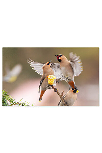 StoryGift Romania Tablou Canvas - Companioni Fideli: Pisici De Rasa In Studio...