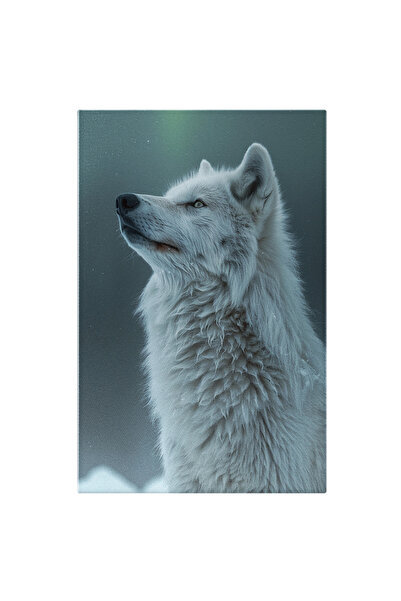 StoryGift Romania Tablou Canvas: Lup Alb Singuratic În Căutarea Unei Haite - ...