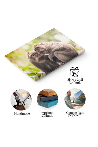 StoryGift Romania Tablou Canvas Familia De Maimute In Armonie Cu Insula Verde Familie, Maimute, Armonie, Insula,