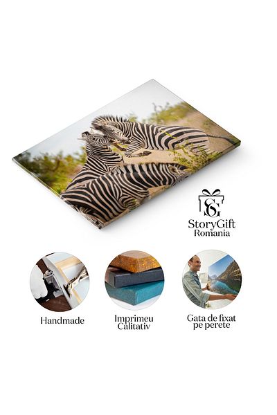StoryGift Romania Canvas Print - Zebra Fight: Small Group of Animals in Action