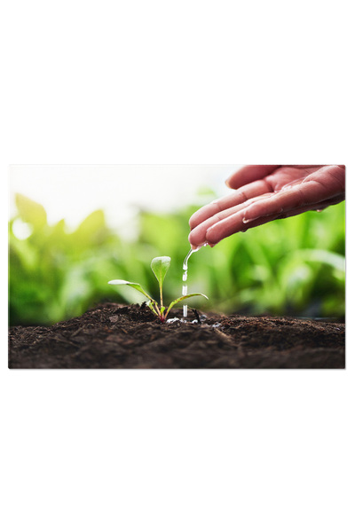 StoryGift Romania Tablou Canvas - In Natura Primavara: Pastrarea Apei Si Vietii