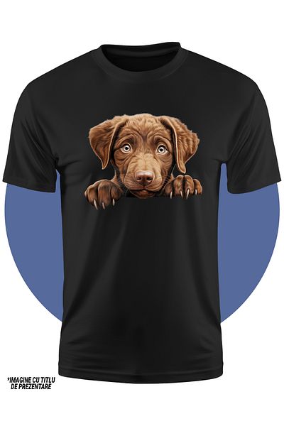 StoryGift Romania Tricou Copii Cu Un Catel Sfios, Ilustratie, Maro Deschis, Gheare, Pentru Iubitorii De Cain