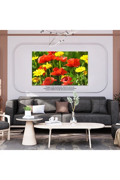 StoryGift Romania Tablou Canvas - Coquelicot Inflorit: Flori Delicate In Detaliu