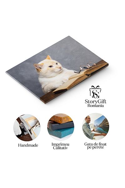 StoryGift Romania Canvas Painting 70 X 50cm Cat With Glasses, Blinking And Looking Into Book, Animal, Humor, Read Stg