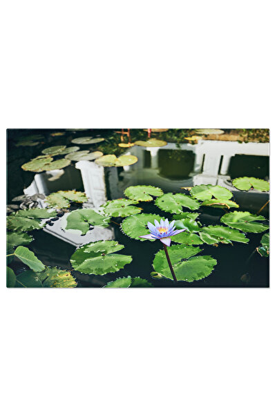 StoryGift Romania Tablou Canvas Floarea De Lotus Impotriva Reflectiei In Apa,...