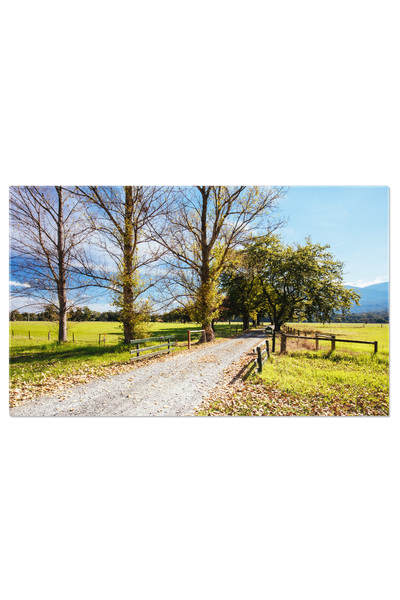 StoryGift Romania Tablou Canvas Pista De Biciclete Lilydale Catre Warburton I...