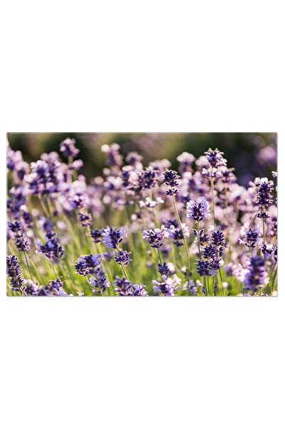 StoryGift Romania Tablou Canvas Perspectiva Detaliata A Florilor De Lavanda Inflorite, Pe Un Fundal Blur, Captura