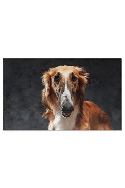 StoryGift Romania Tablou Canvas - Saluki Sau Persian Greyhound - Eleganta Can...