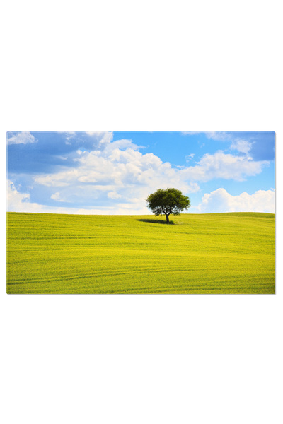 StoryGift Romania Tablou Canvas Maslin, Montalcino, Italia, Fundal, Agricultu...