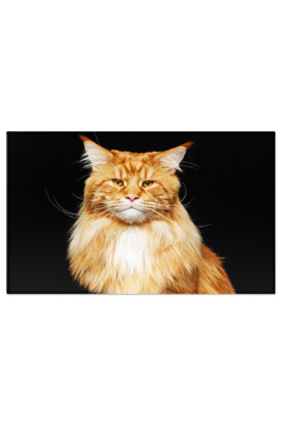 StoryGift Romania Tablou Canvas - Lynx In Detaliu: Frumusete Salbatica