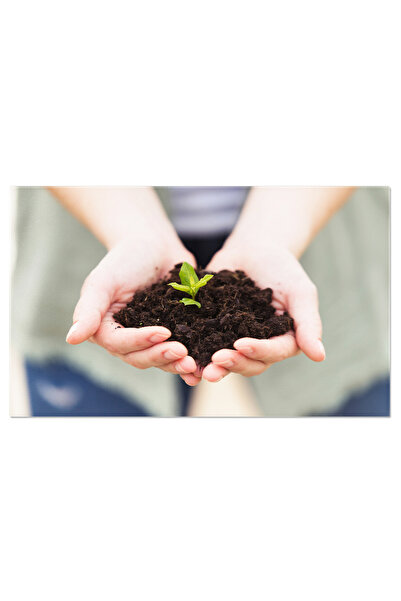 StoryGift Romania Tablou Canvas: Protejarea Mediului - Plante, Ingrijire, Nat...