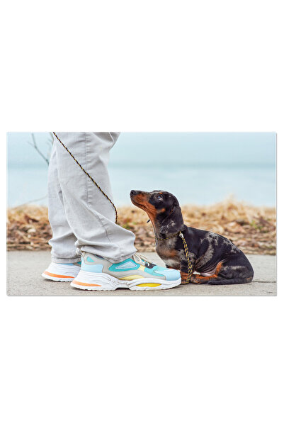 StoryGift Romania Tablou Canvas Proprietarul Tine Un Dachshund Marmorat, Prie...