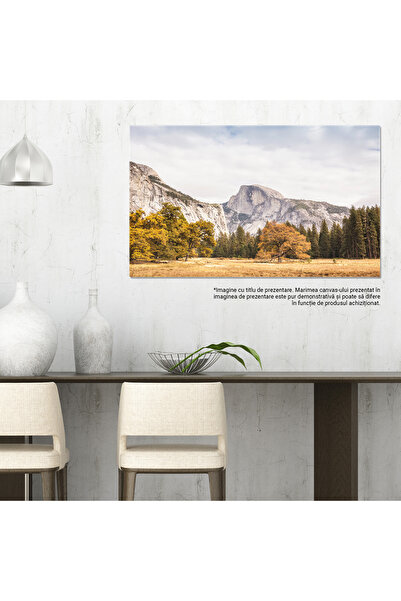 StoryGift Romania Tablou Canvas Peisaj De Toamna Cu Frunze Cazatoare Aventura, Toamna, Peisaj, Frunze Cazatoare,