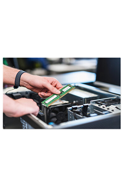 StoryGift Romania Tablou Canvas - Tineretul Si Tehnologia: Baiat Cu Pc Si Pla...