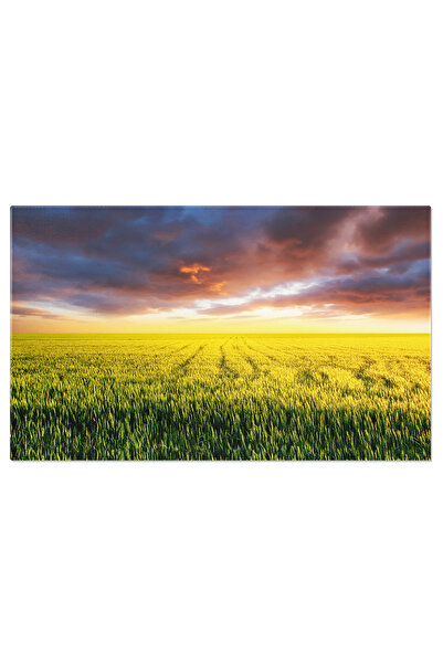 StoryGift Romania Tablou Canvas Camp La Apus Agricultura, Peisaj, Rural, Vara...