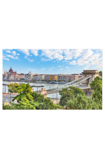 StoryGift Romania Tablou Canvas Privire De Jos La Copacii Inalti In Padurea Primordiala Evergreen Natura, Padure,