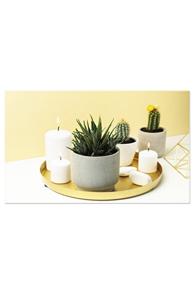 StoryGift Romania Tablou Canvas Plante Suculente Si Lumanari Parfumate, Elemente De Design Interior Ce Aduc Natur