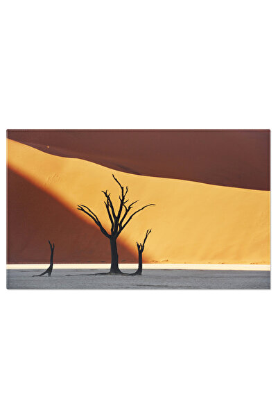 StoryGift Romania Tablou Canvas: Descoperirea Namibiei Colorate - Peisaj, Nat...