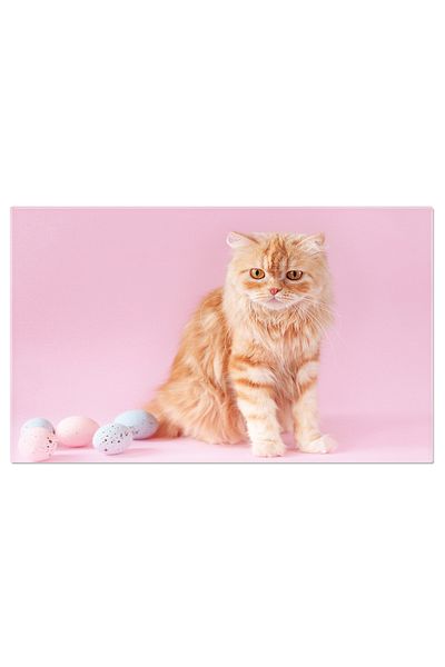 StoryGift Romania Tablou Canvas: Kitten Jucaus In Fundal De Paste