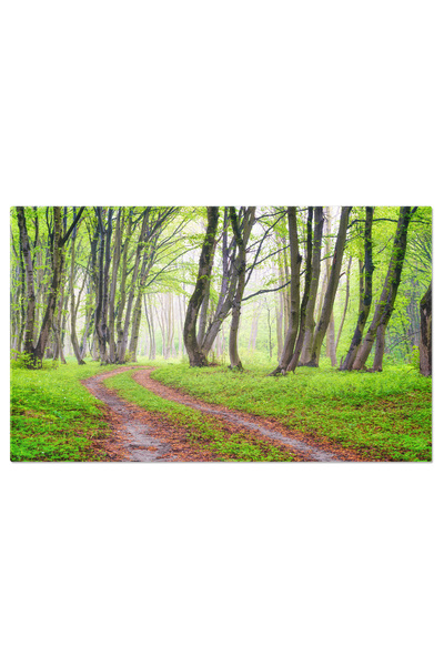 StoryGift Romania Tablou Canvas Cetate In Cetul Padurii De Primavara Creepy, ...