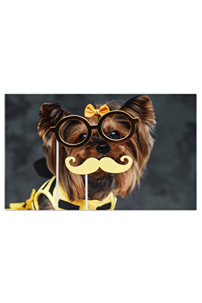 StoryGift Romania Tablou Canvas: Yorkshire Terrier Cu Mustata - Sarm Si Stil ...