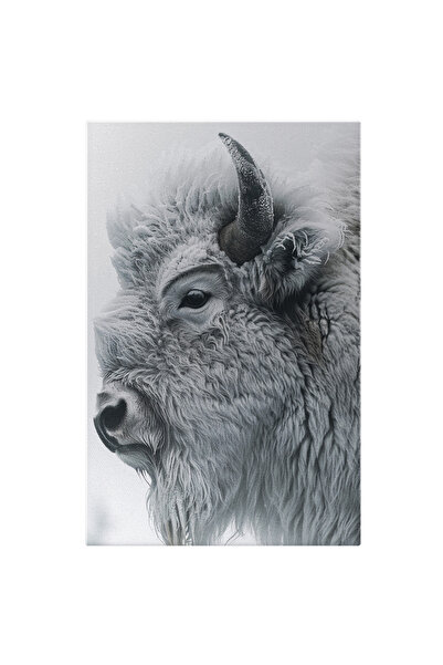 StoryGift Romania Tablou Canvas: Bizon Batran De Culoare Alba Cu Privire Suparata Si Coarne Ascutite, Aniimal Er
