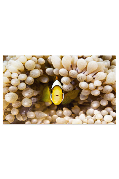 StoryGift Romania Tablou Canvas - Packrafting In Peisaj Montan: Aventura Acvatica La Cote Inalte!