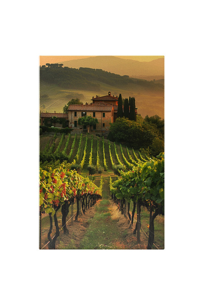 StoryGift Romania Tablou Canvas: Vițe-de-vie Pline Cu Struguri, Întinse Pe De...