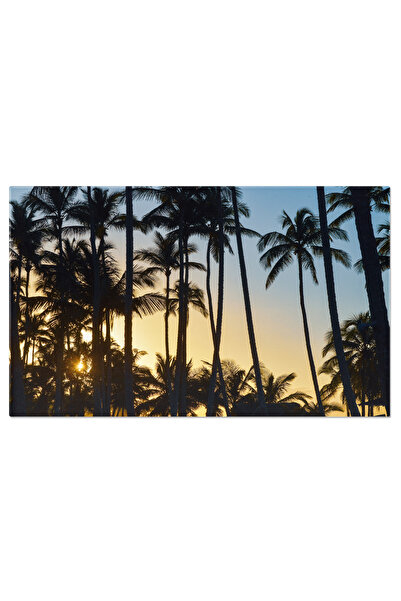 StoryGift Romania Tablou Canvas - Marele Final Al Zilei - Razele De Soare Asupra Palmierilor