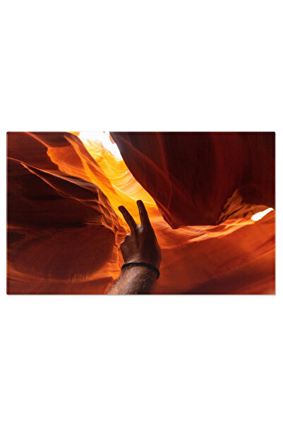 StoryGift Romania Tablou Canvas Simbol Al Victoria Sau Pacii In Marea Antilop...