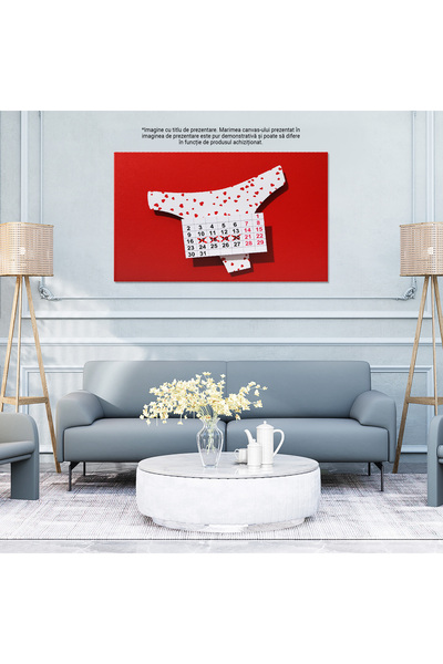 StoryGift Romania Tablou Canvas - Delicatetea Feminina: Flori, Ginecologie, Pastile: Calendar, Cumparaturi, Prote