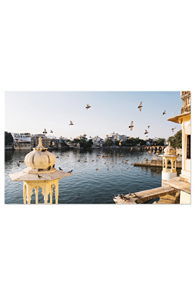 StoryGift Romania Tablou Canvas Cu Balcon In India - Design Si Pasari Urbane In Asia