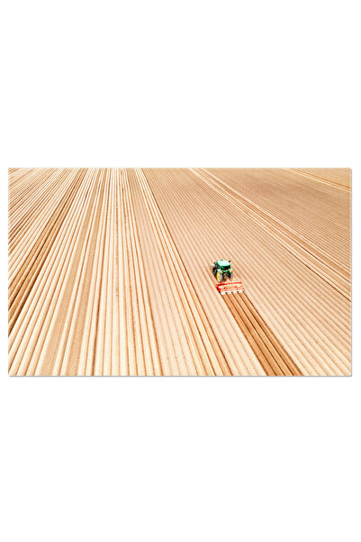 StoryGift Romania Tablou Canvas: Samanta Vietii In Campurile Verzi - Lucrari Agricole Si Nuante De Toamna