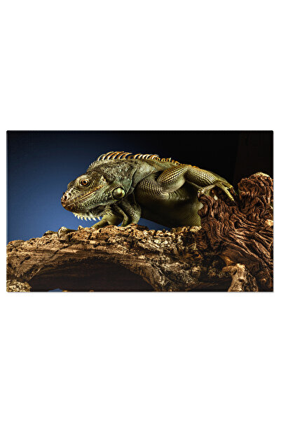 StoryGift Romania Tablou Canvas - Creaturi Din Jungla In Culoare