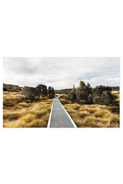 StoryGift Romania Tablou Canvas Fotografie Muntele Cradle In Tasmania, Australia, Tasmania, Australia, Frumusete,