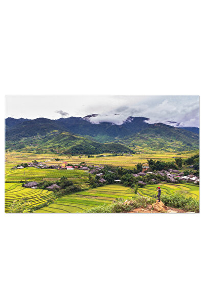 StoryGift Romania Tablou Canvas Fotograf La Campurile De Orez Terasate, Agricultura, Bali, Asia, Camp, Terase 472