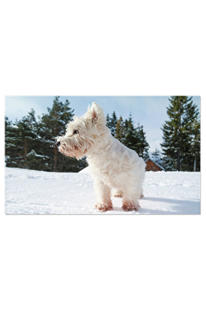 StoryGift Romania Tablou Canvas Portret Femeie Cu Arc In Par Portret, Doamna,...