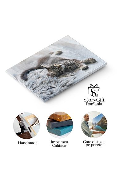 StoryGift Romania Tablou Canvas Motanul Este Un Motan Foarte Frumos Gri, Animale, Dragut, Domestic, Pui, Blana 26