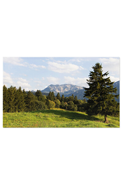 StoryGift Romania Tablou Canvas Peisaj Idilic, Natura, Copac, Germania, Bavar...